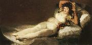 Francisco Goya The Clothed Maja oil on canvas
